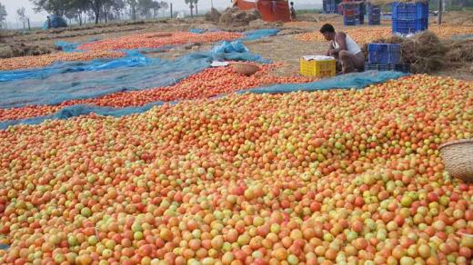 rajshahi-godagari-photo-by-eliasarafat-021214.jpg