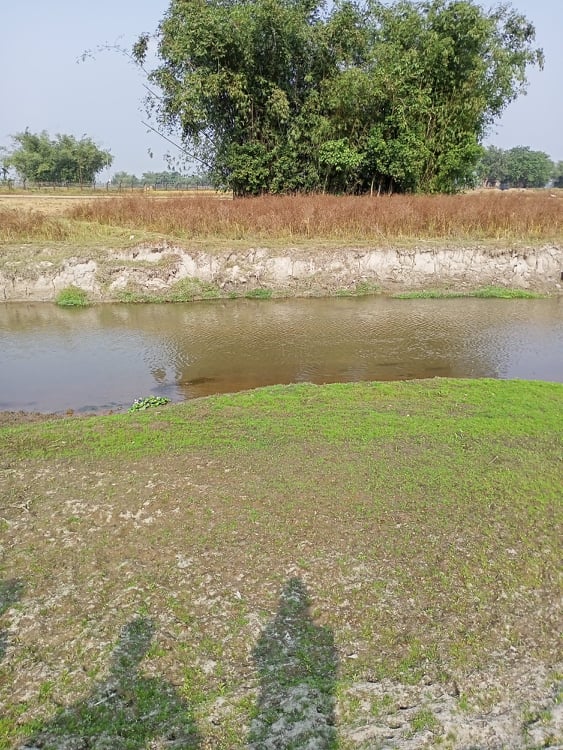 ছবি- খর্প নদী, ওপারে বাঁশ ঝাড়টি ভারতের কুচবিহার জেলার শীতলখুচির একটি গ্রাম