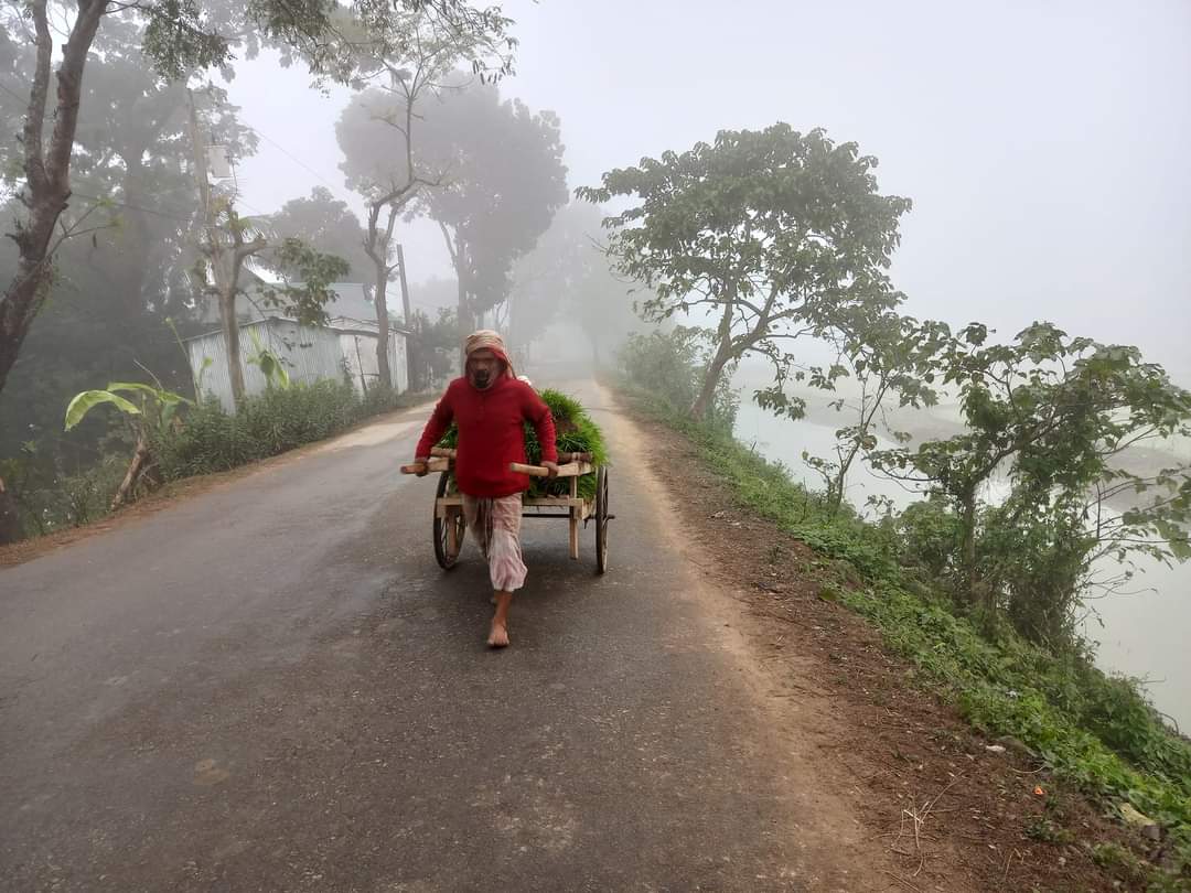 হাওরে তীব্র শীতে জনজীবন বির্পযস্ত