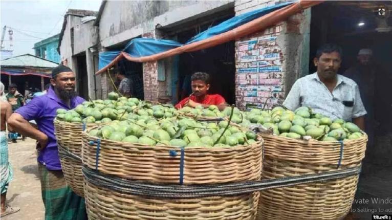 জিআই স্বীকৃতি পেল বগুড়ার দই এবং চাঁপাইনবাবগঞ্জের ল্যাংড়া ও আশ্বিনা আম