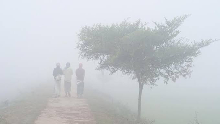 চুয়াডাঙ্গা কুয়াশার চাদরে ঢাকা, সর্বনিম্ন তাপমাত্রা ৯.৫