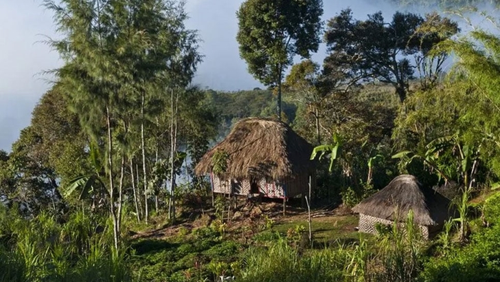 নিউগিনিতে গোলাগুলিতে নিহত ৫৩ জন