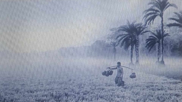 সুপ্রতীম সিংহ রায় - শীত পার্বণ