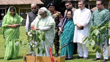 বিএনপি-জামায়াত গাছ ধ্বংস করে-প্রধানমন্ত্রী