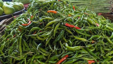 ৪০০ টাকা ছাড়াল কাঁচা মরিচের কেজি