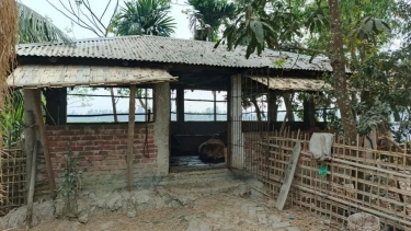 গরু ও মাদক চোরাচালান সিন্ডিকেটের প্রধান গ্রেপ্তার