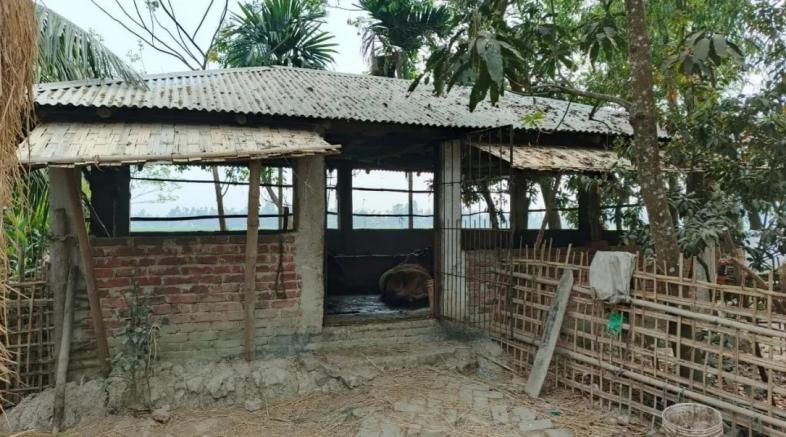 গরু ও মাদক চোরাচালান সিন্ডিকেটের প্রধান গ্রেপ্তার
