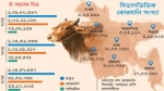 লবণরেখায় আটকে কোরবানির চামড়া