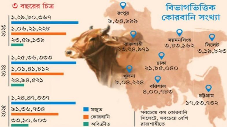 লবণরেখায় আটকে কোরবানির চামড়া