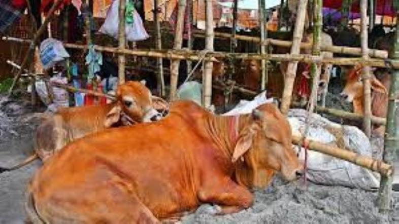 অর্থনীতিতে জোয়ার আনছে ঈদ