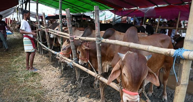 রাজধানীর হাটে শেষ মুহূর্তে ভিড় ক্রেতা-বিক্রেতার