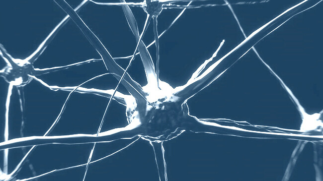 সংগৃহীত ছবি-বায়োকম্পিউটার’