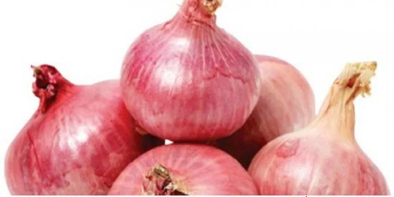 পিয়াজ ফাইল ছবি