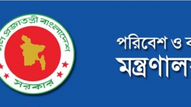 নববর্ষ উদযাপনে আতশবাজি ও পটকা না ফোটানোর আহ্বান সরকারের