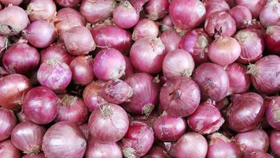 সরকারের নজরদারির অভাবে পেঁয়াজের দাম বাড়ল দুই দিনে কেজিপ্রতি ৩৫ টাকা