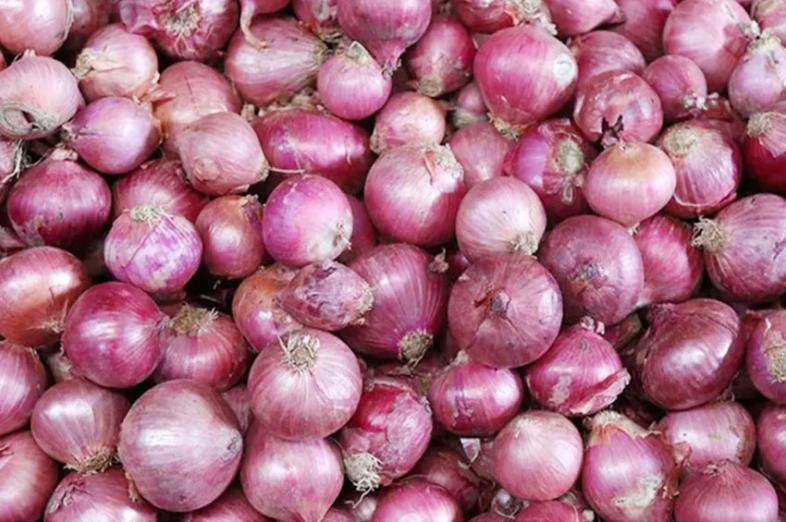 পিয়াজের ফাইল ছবি