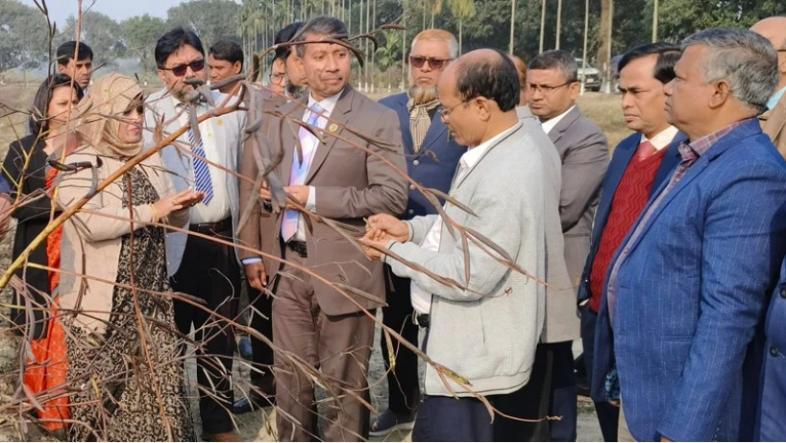 দিনাজপুরে পাট ও গম গবেষণায় গতি আনতে কৃষি সচিবের দিকনির্দেশনা