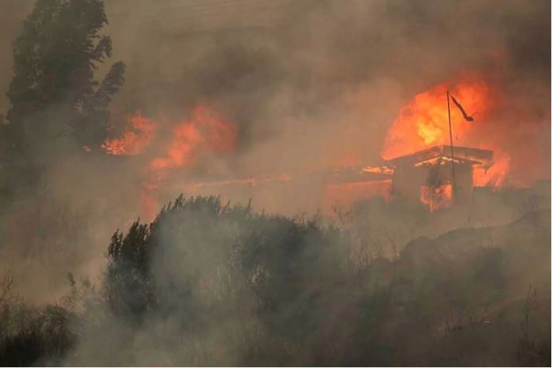 ভয়াবহ দাবানলে বিপর্যস্ত দক্ষিণ আমেরিকার দেশ চিলি