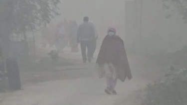 শৈত্যপ্রবাহে ১৭ জেলা কাবু, কুয়াশা ও তাপমাত্রা নিয়ে নতুন পূর্বাভাস