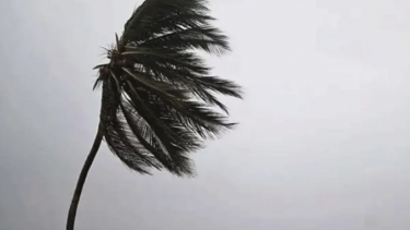 রাতেই ৮ অঞ্চলের জন্য সতর্কতা, ঢাকায় ঝোড়ো বৃষ্টির আভাস