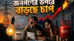এবার বাড়ছে বিদ্যুতের দাম