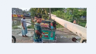 বেগমগঞ্জে  বিদ্যুতের খুঁটি পড়ে  আহত ৪