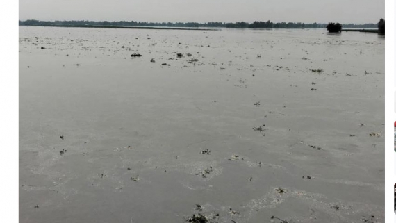 উজানের ভারি বৃষ্টিতে কুড়িগ্রামে বন্যার শঙ্কা