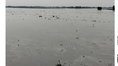 উজানের ভারি বৃষ্টিতে কুড়িগ্রামে বন্যার শঙ্কা