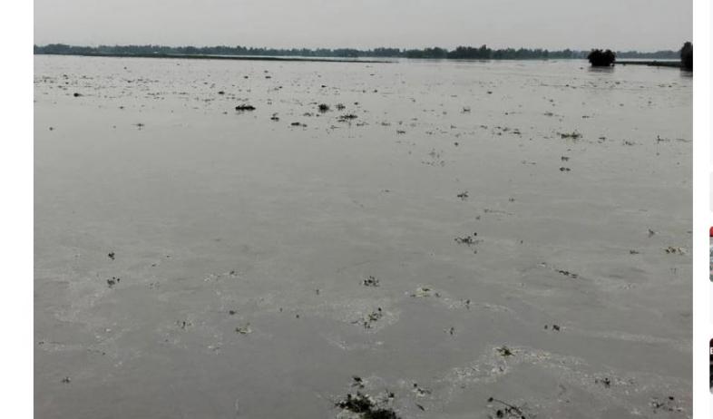 উজানের ভারি বৃষ্টিতে কুড়িগ্রামে বন্যার শঙ্কা