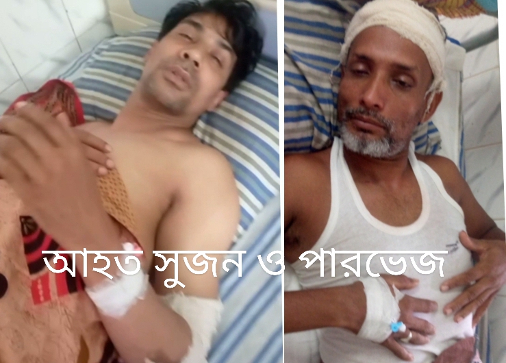 বেগমগঞ্জে কিশোর গ্যাং এর হামলায়  ২ আহত