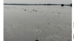 জুলাই-আগস্টে বন্যার শঙ্কা