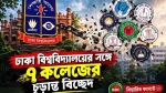 ঢাকা বিশ্ববিদ্যালয়ের সঙ্গে ৭ কলেজের চূড়ান্ত বিচ্ছেদ